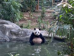 -深圳野生动物园