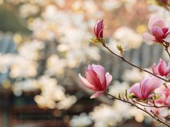 -颐和园