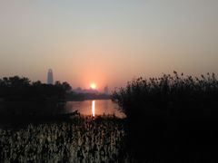 -山东柏宁水族批发广场