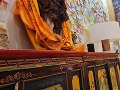 -古树酸奶(八廓南街店)