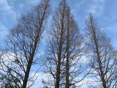 -祝甸砖窑文化馆