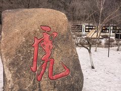 -横道河子东北虎林园