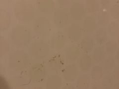 -无锡日航饭店