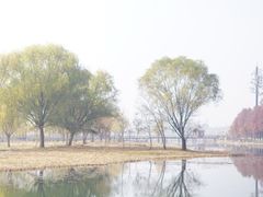 -苏州太湖湖滨国家湿地公园