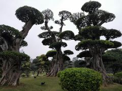 -南宁南湖公园