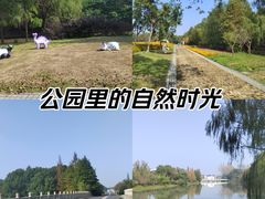 -同里国家湿地公园