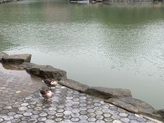 -广州市帽峰山景区