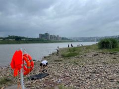 -金海湾滨江公园