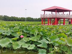 -嘉北郊野公园