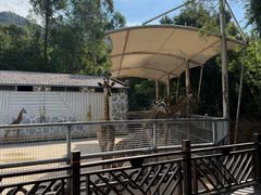 -泉州海丝野生动物世界