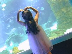-锦艺城海洋馆