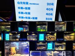 -太平洋海底世界