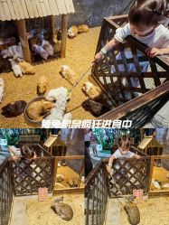 -酷嗒动物文化乐园(cutezoo西溪乐天城店)