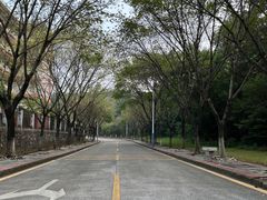 -广东财经大学(佛山校区)