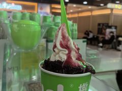 -Salud撒露欧洲冻酸奶(五道口购物中心店)