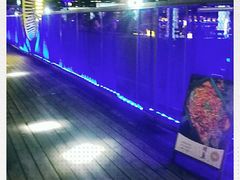 -琶醍壹号•潮菜江景餐吧