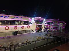 -大珍珠号夜游湄南河