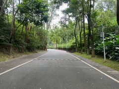 -火炉山森林公园