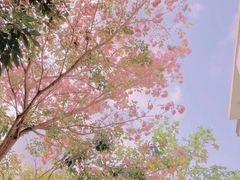 -海南热带海洋学院(三亚校区)