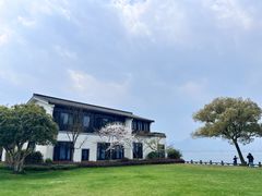 -杭州西湖柳莺里酒店·闻莺厅