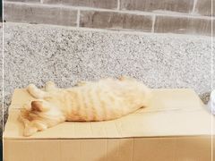 -邓莽子老火锅(鲁祖庙店)