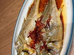 -波螺油子·海肠捞饭·青岛菜(银座店)