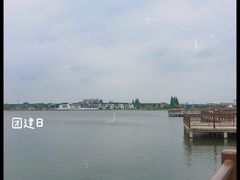 -鹅湖玫瑰文化园