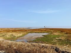 -南汇嘴观海公园