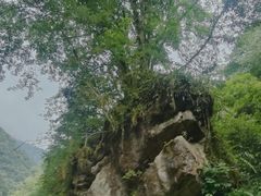 -西岭雪山大飞水景区