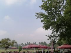 -夏河溪乡野公园