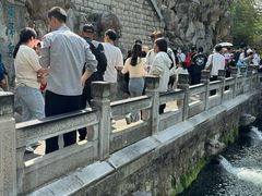 -教师之家赵家羊汤馆(东青龙街店)