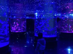 -哈尔滨波塞冬海底世界