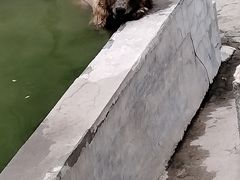 -保定市动物园