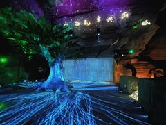 -梭布垭石林景区