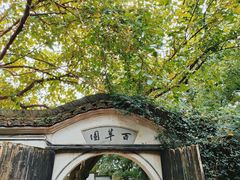 -绍兴鲁迅故里·沈园景区