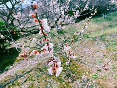 -白马涧龙池景区