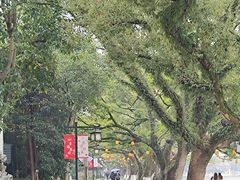 -江心屿景区