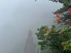 -黄山风景区