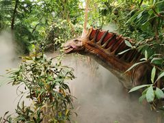 -呀路古热带植物园