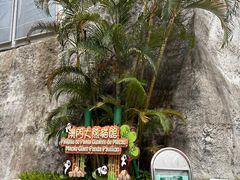 -石排湾郊野公园