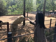 -大连森林动物园