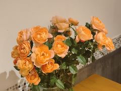 -山茶云南菜(中关村店)
