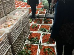 -菜园坝水果市场