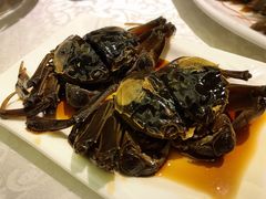 生腌大闸蟹-宏玲餐厅(四川南路店)