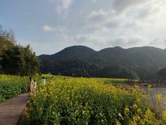 -广州市石门国家森林公园