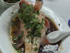 -新陶陶酒家