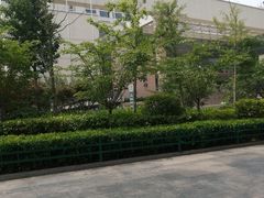 -青岛市图书馆