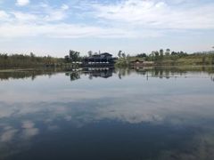 -白鹭湾湿地公园