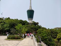 -梧桐山风景名胜区