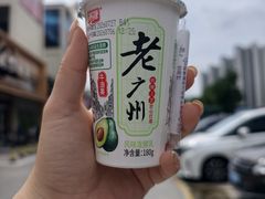 -顺德渔村·岭南一号